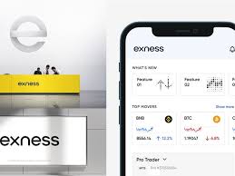 Comprehensive Guide to Exness Contact 6 Comprehensive Guide to Exness Contact 6