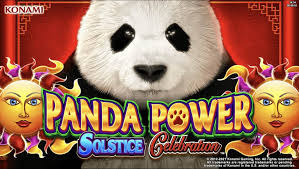 Discover the Excitement Play at Spinpanda Casino