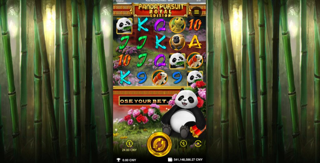 Discover the Excitement Play at Spinpanda Casino