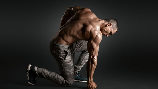 Cursos de esteroides en solitario musculación Cursos de esteroides en solitario musculación