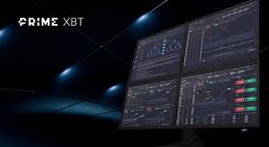Trader PrimexBT The Gateway to Crypto Trading Success Trader PrimexBT The Gateway to Crypto Trading Success